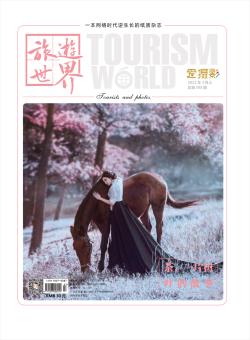 旅游世界期刊